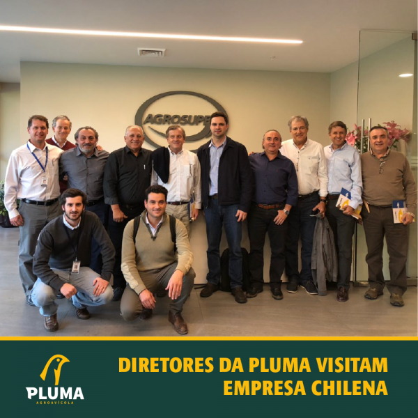 Diretores da Pluma visitam empresa chilena